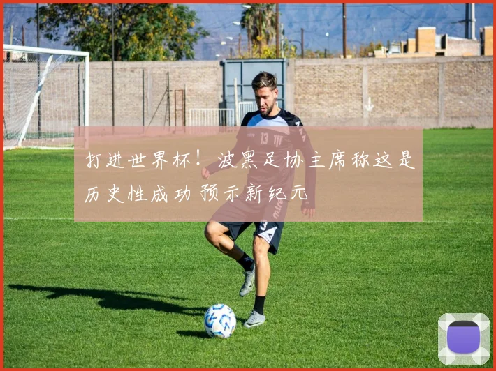 打进世界杯!波黑足协主席称这是历史性成功 预示新纪元